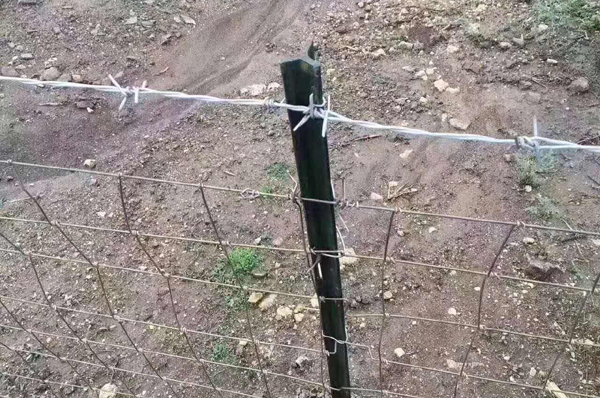 南京護(hù)欄網(wǎng) 南京護(hù)欄網(wǎng)